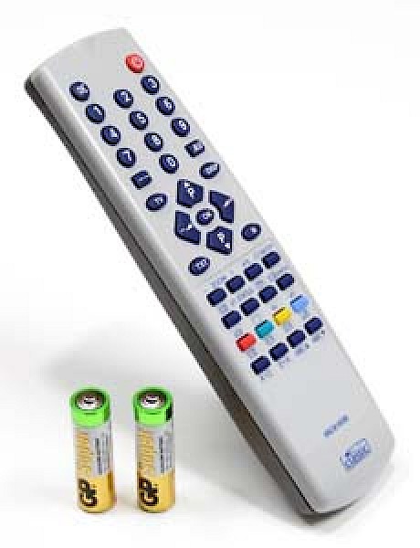 Thorn Ferguson 204 387 84 Replacement Remote